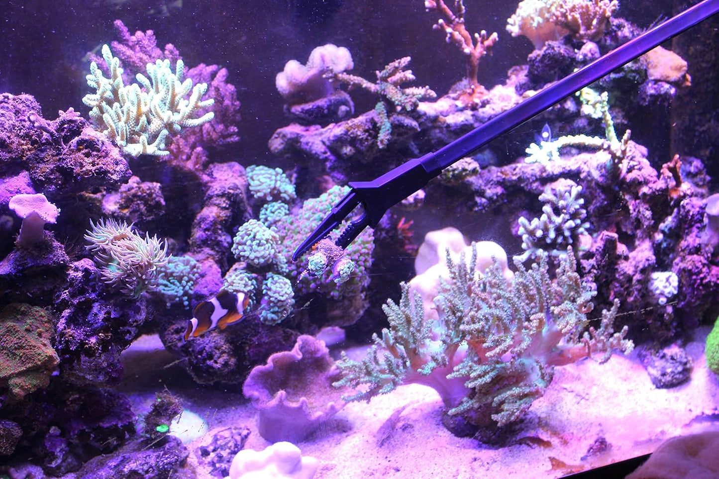 Aquarium Tongs 27 inch (70 cm), 100% Reef Safe, Multi Purpose for Fresh and Saltwater Fish Tanks, Clip Plants, Spot Feed Fish and Coral, Keep Hands Dry