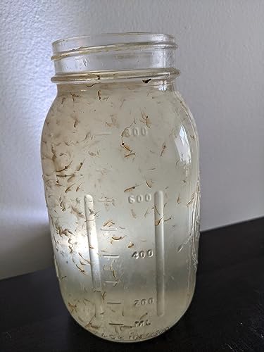 Live Brine Shrimp by Demeter Bio, 12.5g Mixed Size brine Shrimp Shipped in 32oz of Liquid - Arrive Alive Guarantee - Buy The Sea Aquatics