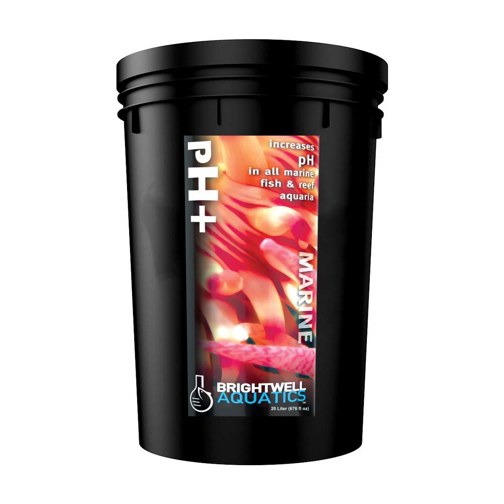 Brightwell Aquatics pH+ Alkalinity and pH Booster for Marine & Reef Aquariums Increases pH and KH Stability for Coral Growth and Enhances Carbonate Levels, 2L