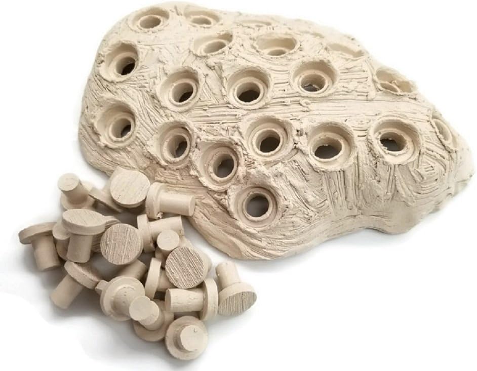 Oceans Wonders Frag Station Hub 20.0 Coral Reef Plug Holder with 20 Plugs - Buy The Sea Aquatics