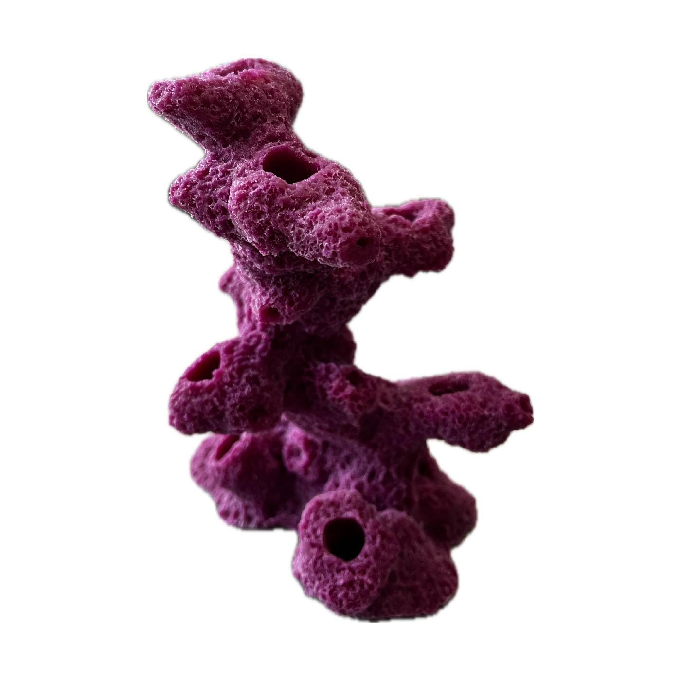 Ocean Aquaria 10 Hole Torch Tower Coral Frag Plug Rack/Frag Rock for Live Coral Plug Ons for Reef Aquariums (Black) - Buy The Sea Aquatics