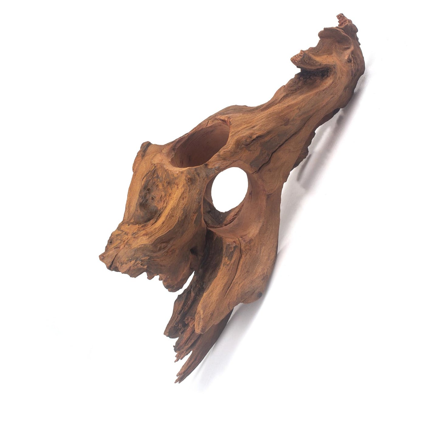 emours Porous Natural Driftwood for Aquarium, Aquascaping Driftwood with Holes, Hand-Selected Tunnels & Hideouts, Aquascaping Hardscape, Terrarium Reptile Décor, No Paint or Resin (12-16" (30-40 cm))