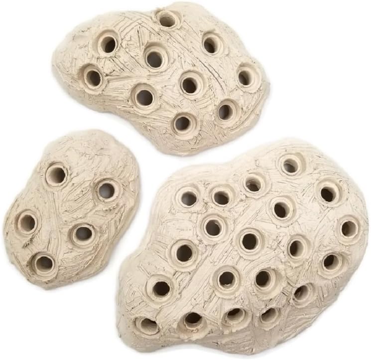 Oceans Wonders Frag Station Hub 20.0 Coral Reef Plug Holder with 20 Plugs - Buy The Sea Aquatics
