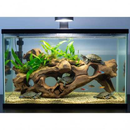 emours Porous Natural Driftwood for Aquarium, Aquascaping Driftwood with Holes, Hand-Selected Tunnels & Hideouts, Aquascaping Hardscape, Terrarium Reptile Décor, No Paint or Resin (12-16" (30-40 cm))