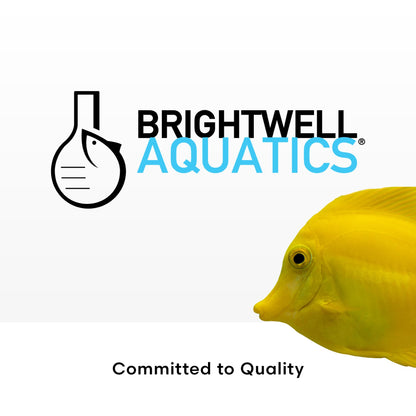 Brightwell Aquatics - Purit Next-Generation Chemical Filtration Media - for use in All Marine and Freshwater Aquaria - Aquarium Water Treatments, 8.45 fl oz