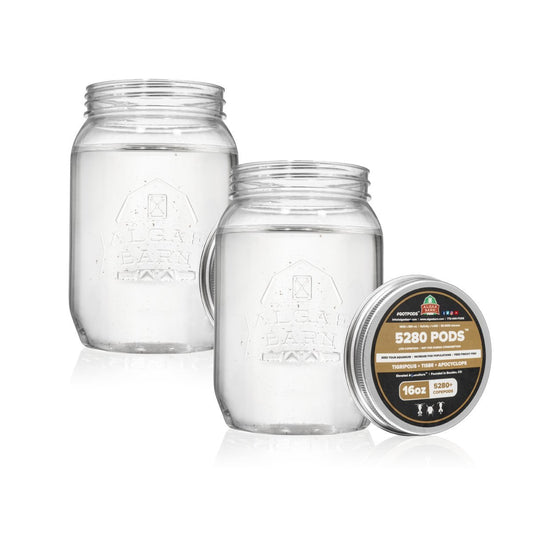 AlgaeBarn 5280 Pods :: Live Copepods :: Three Pod Species Tisbe + Tigriopus + Apocyclops :: Clean Your Tank & Mandarin & Finicky Fish Food (5,280+ Pods)