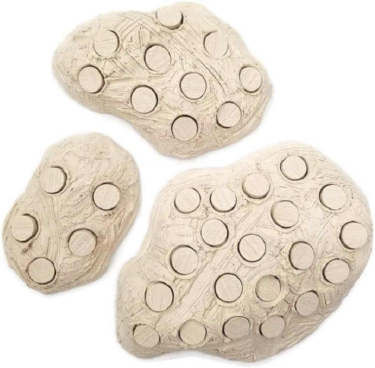 Oceans Wonders Frag Station Hub 20.0 Coral Reef Plug Holder with 20 Plugs - Buy The Sea Aquatics