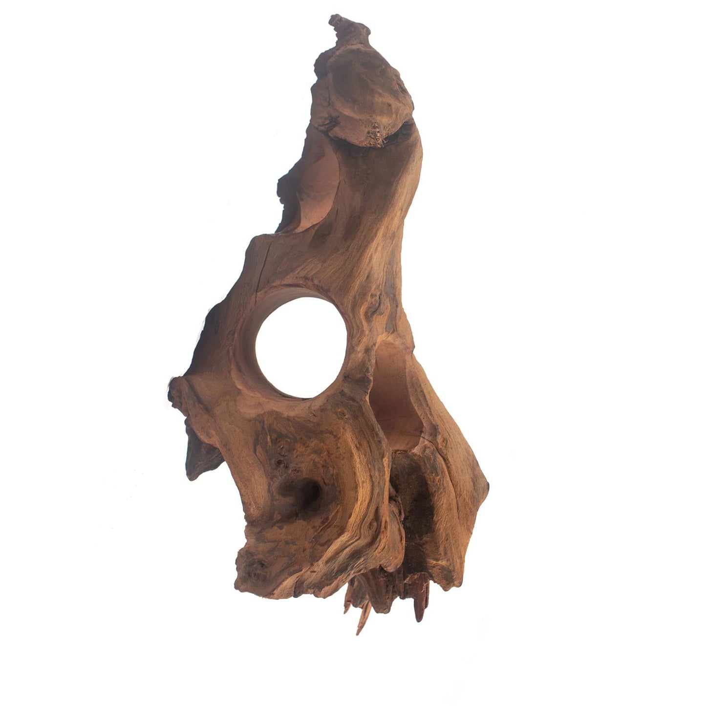 emours Porous Natural Driftwood for Aquarium, Aquascaping Driftwood with Holes, Hand-Selected Tunnels & Hideouts, Aquascaping Hardscape, Terrarium Reptile Décor, No Paint or Resin (12-16" (30-40 cm))