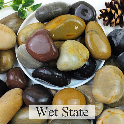 2lbs Natural River Rocks, 1/4" Aquarium Gravel Succulent Cactus Pea Gravel for Plants, Fish Tank, Decorative Pebbles for Gardening, Flower Pots, Vase Fillers, Indoor Water Fountains, Landscaping - Buy The Sea Aquatics