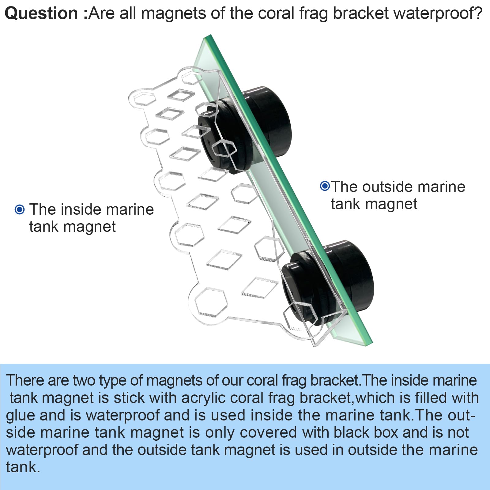 Aquarium Choice Coral Plug Holder Coral frag Rack Magnetic Holder Reef Magnets Holder for frag Rack (Coral Holder with 19 frag Plug) - Buy The Sea Aquatics