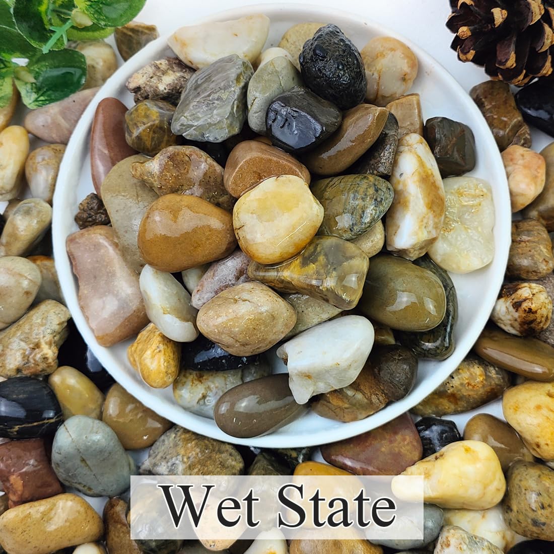 2lbs Natural River Rocks, 1/4" Aquarium Gravel Succulent Cactus Pea Gravel for Plants, Fish Tank, Decorative Pebbles for Gardening, Flower Pots, Vase Fillers, Indoor Water Fountains, Landscaping