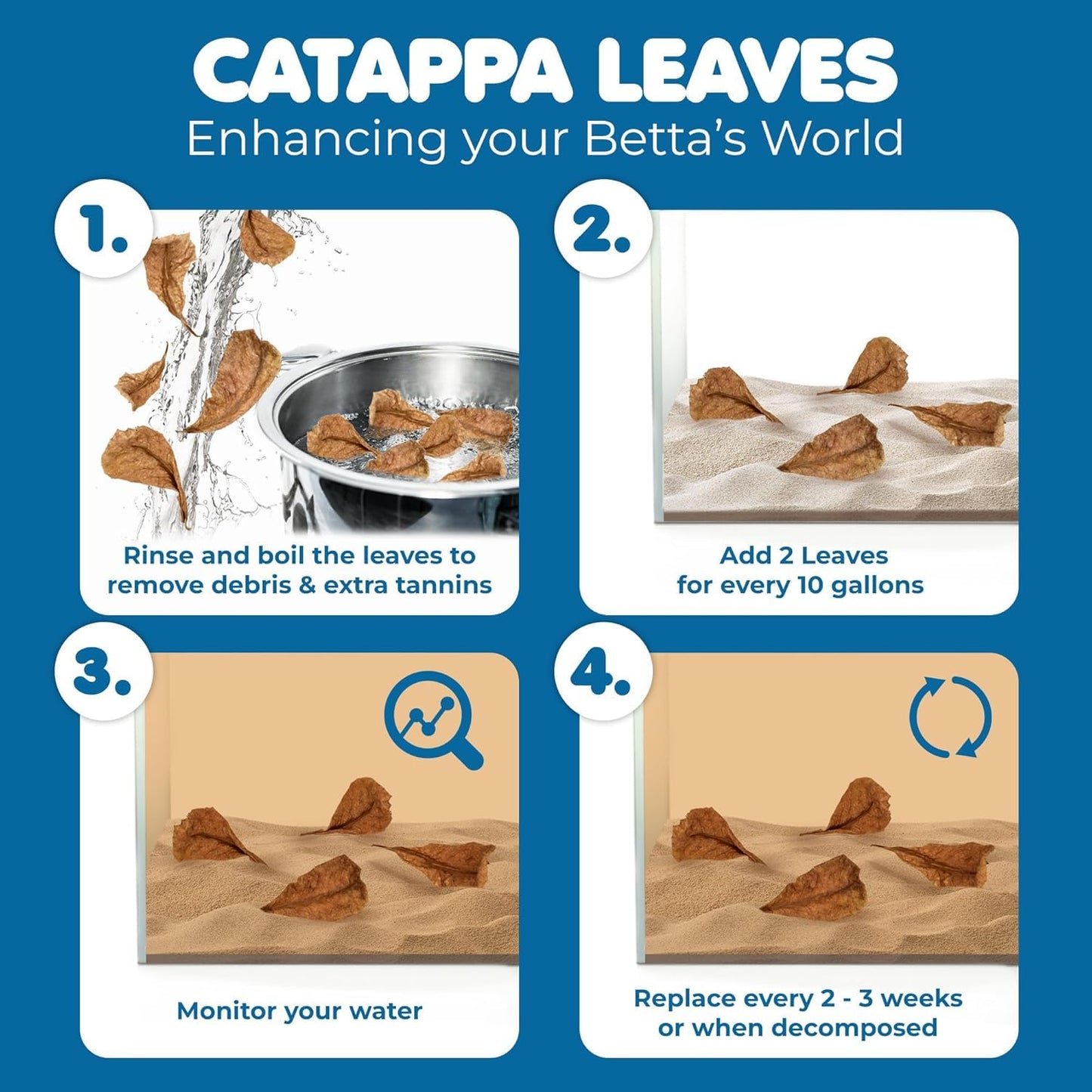 SunGrow 50 pcs Catappa Indian Almond Leaves – 2” Water Conditioner for Betta Fish Tank, Aquarium Leaf for Fish Breeding, Shrimp, Goldfish, Guppy & Frogs