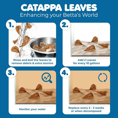 SunGrow 50 pcs Catappa Indian Almond Leaves – 2” Water Conditioner for Betta Fish Tank, Aquarium Leaf for Fish Breeding, Shrimp, Goldfish, Guppy & Frogs