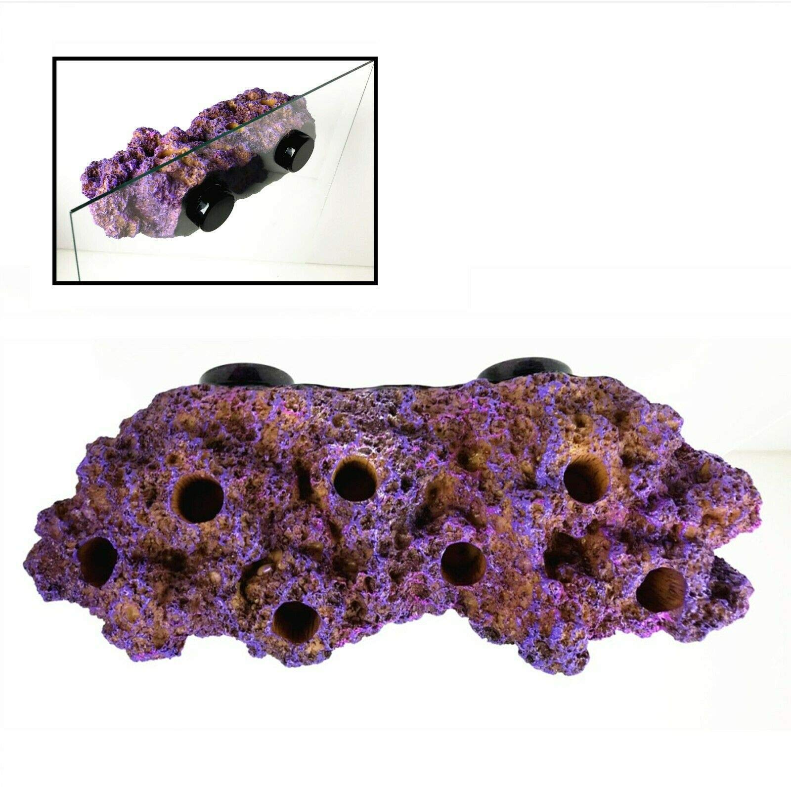 Magnetic Reef Coral Frag Rack Floating Rock Strong Magnets Strong N52 Magnets for 1/2" Glass (Coralline Purple) - Buy The Sea Aquatics
