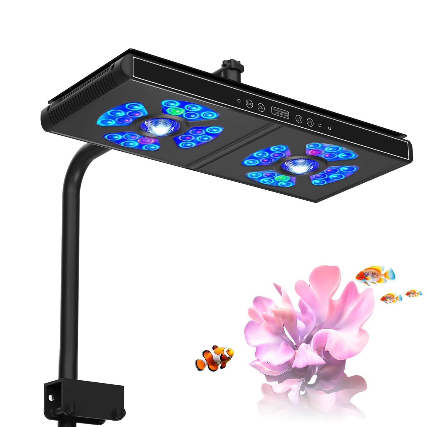 Aquarium Lights-100 watt 5 Channels Sunrise Sunset Moonlight Reef Lights for Coral SPS LPS Saltwater Tank