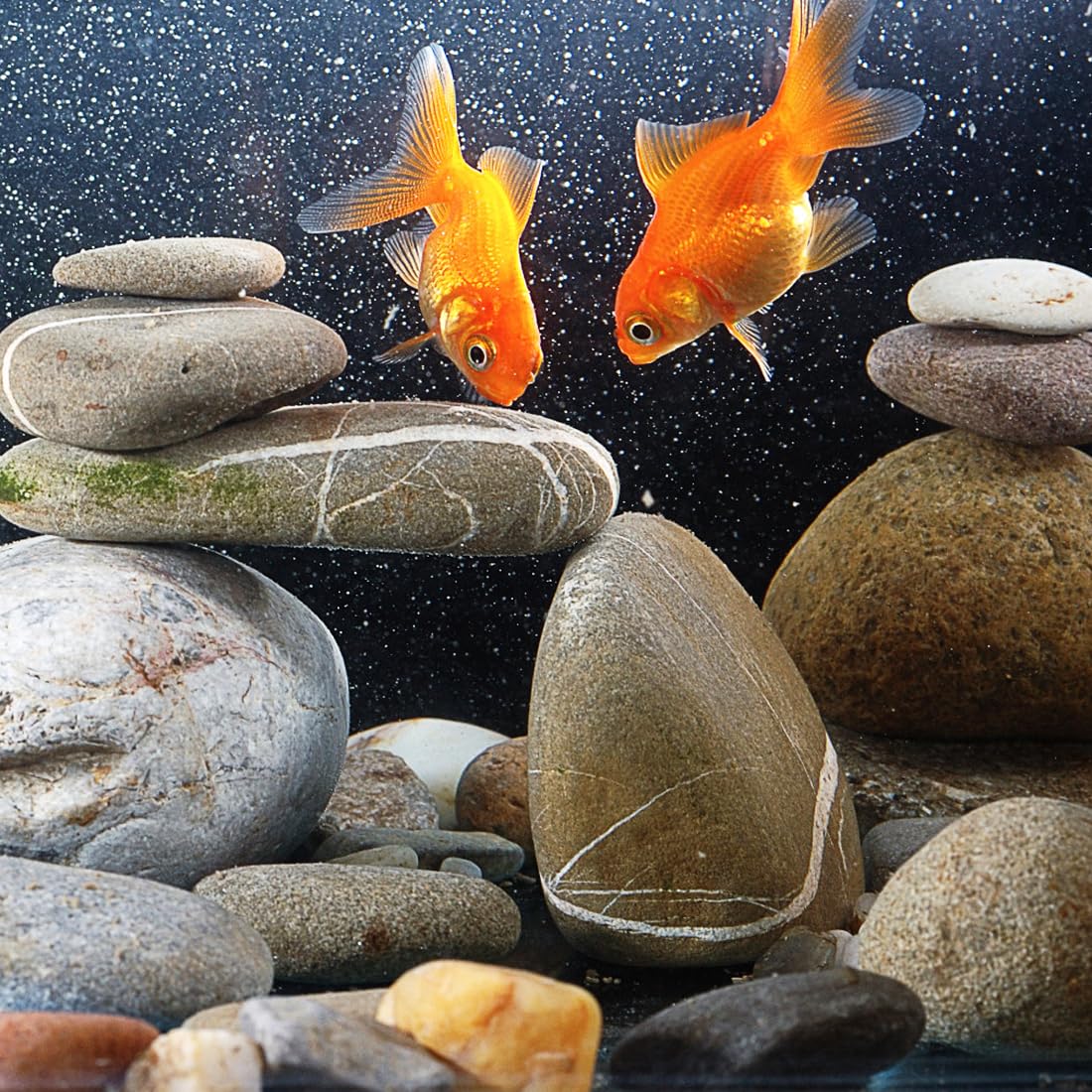 2lbs Natural River Rocks, 1/4" Aquarium Gravel Succulent Cactus Pea Gravel for Plants, Fish Tank, Decorative Pebbles for Gardening, Flower Pots, Vase Fillers, Indoor Water Fountains, Landscaping - Buy The Sea Aquatics