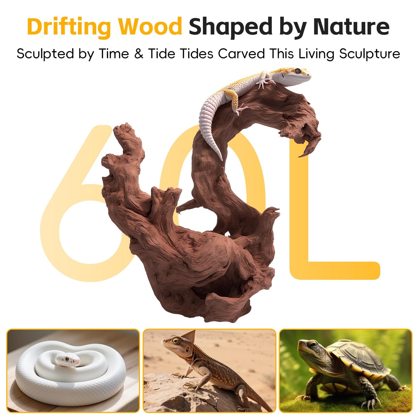 EFFIELER Natural Driftwood for Aquarium Decor – 6-10 INCH Unique Size Real Wood Branches for Fish Tank, Reptile Habitat, Terrarium, Hermit Crab, Shrimp Tank,Safe for Aquatic Pets