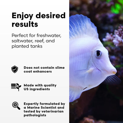 Continuum Aquatics Fraction Water Conditioner for Freshwater & Marine Aquariums – Removes Ammonia, Chlorine & Chloramines – Supports Aquarium Balance – Advanced Water Treatment, 2L