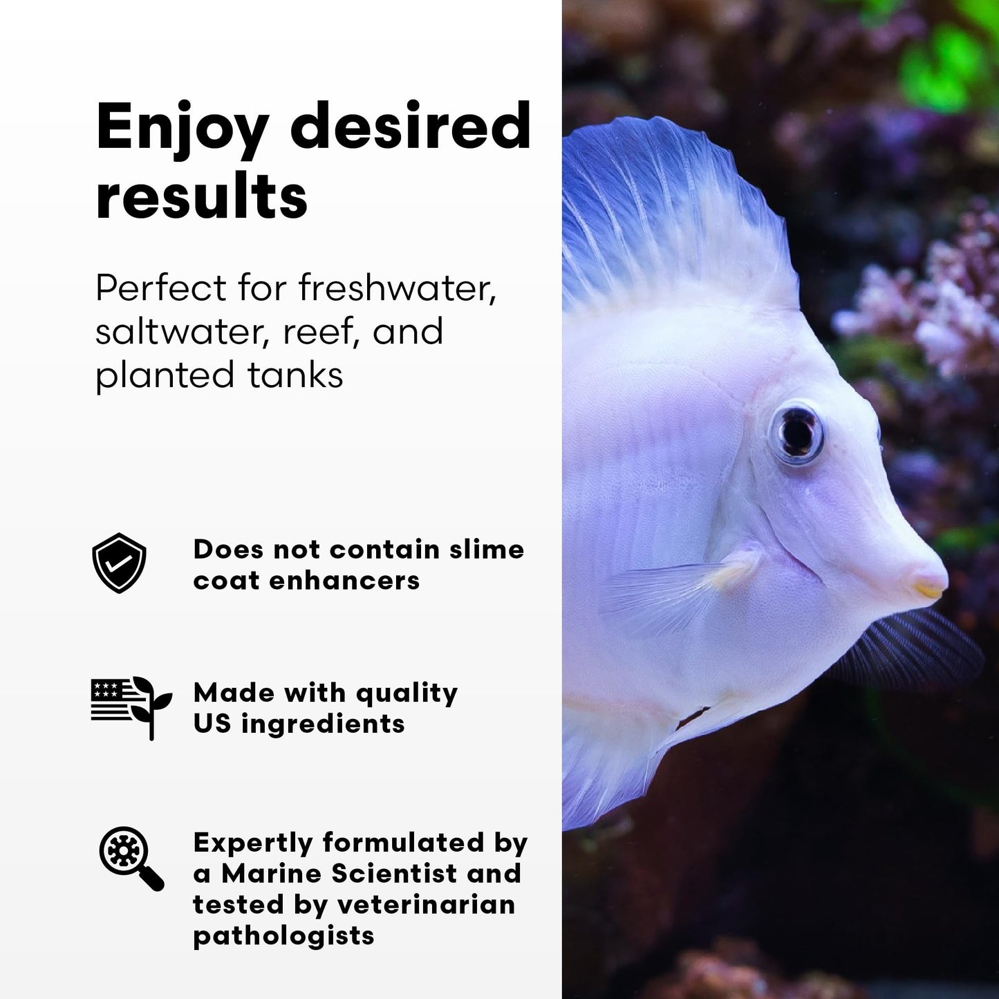 Continuum Aquatics Fraction Water Conditioner for Freshwater & Marine Aquariums – Removes Ammonia, Chlorine & Chloramines – Supports Aquarium Balance – Advanced Water Treatment, 2L