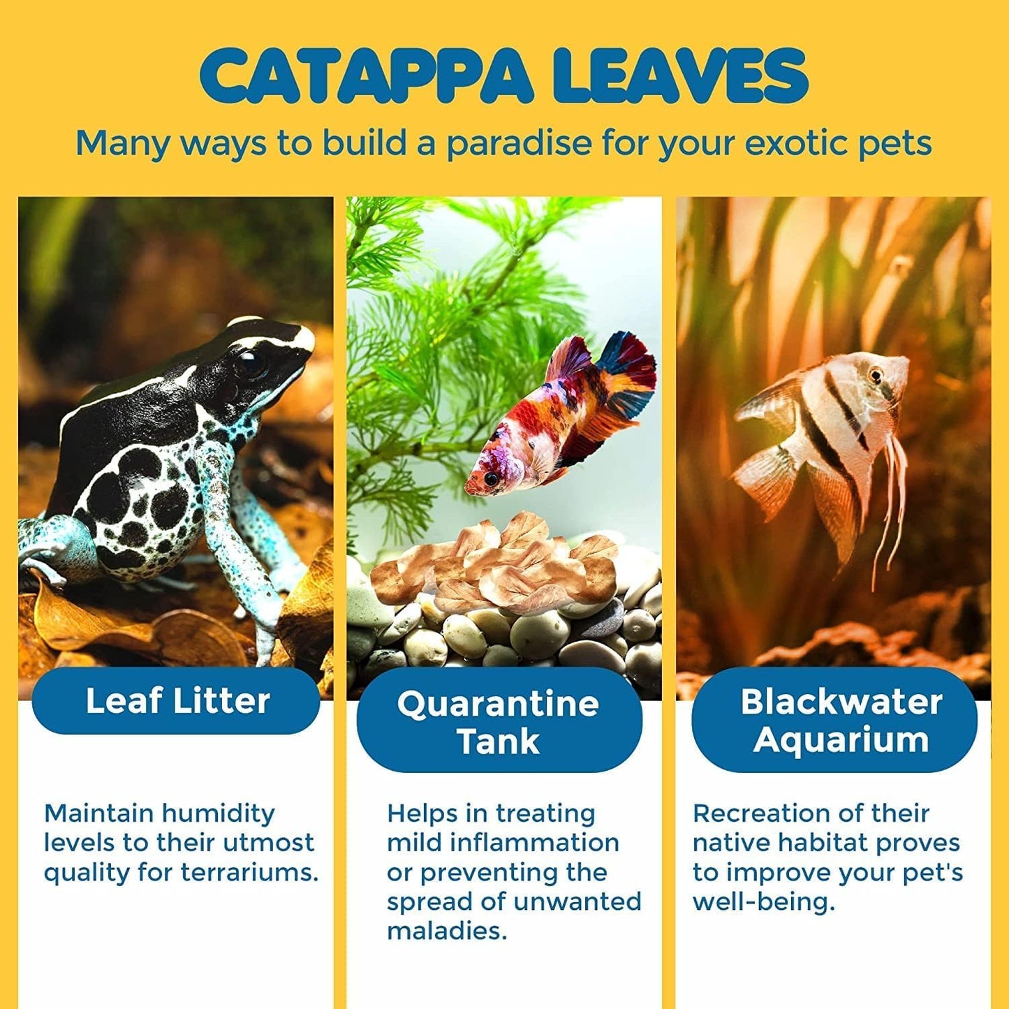 SunGrow 50 pcs Catappa Indian Almond Leaves – 2” Water Conditioner for Betta Fish Tank, Aquarium Leaf for Fish Breeding, Shrimp, Goldfish, Guppy & Frogs