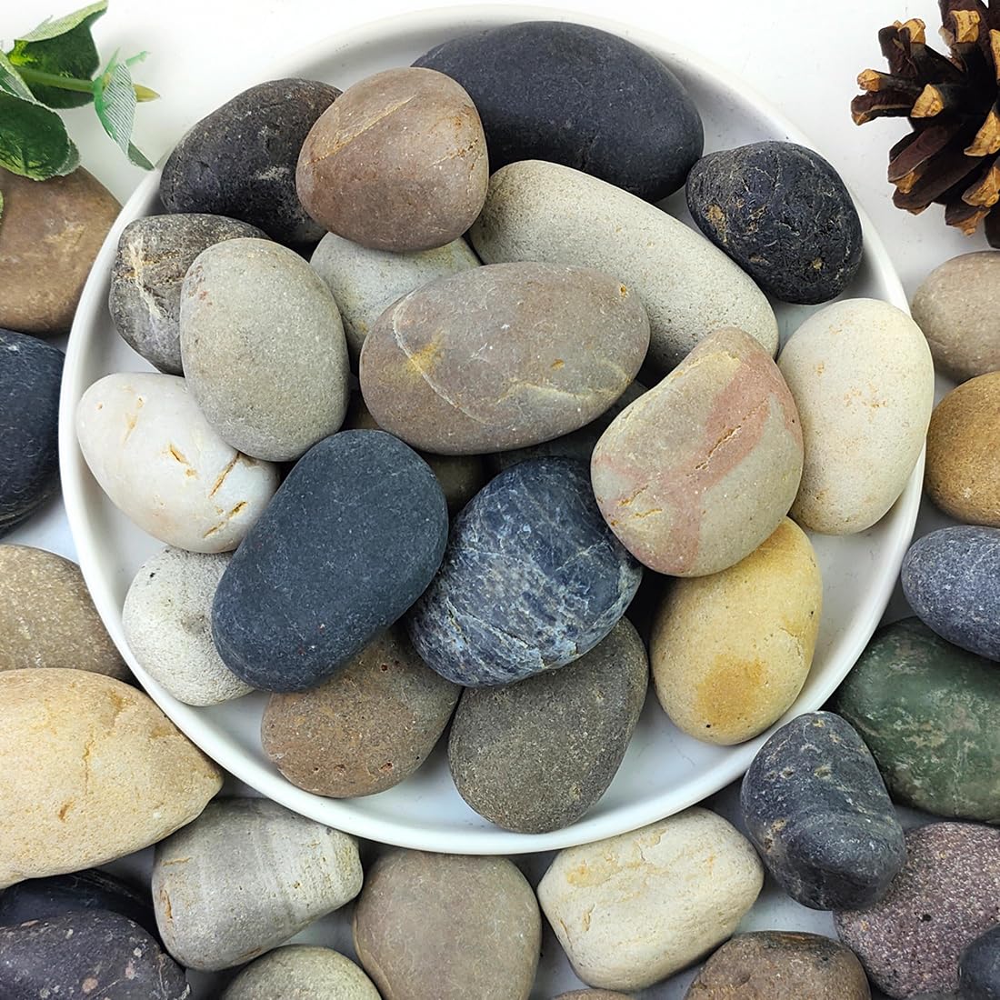 2lbs Natural River Rocks, 1/4" Aquarium Gravel Succulent Cactus Pea Gravel for Plants, Fish Tank, Decorative Pebbles for Gardening, Flower Pots, Vase Fillers, Indoor Water Fountains, Landscaping - Buy The Sea Aquatics