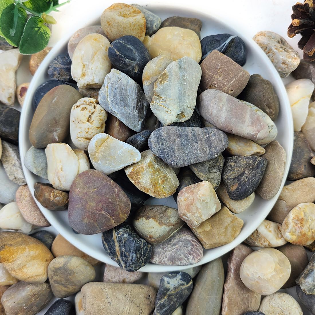 2lbs Natural River Rocks, 1/4" Aquarium Gravel Succulent Cactus Pea Gravel for Plants, Fish Tank, Decorative Pebbles for Gardening, Flower Pots, Vase Fillers, Indoor Water Fountains, Landscaping