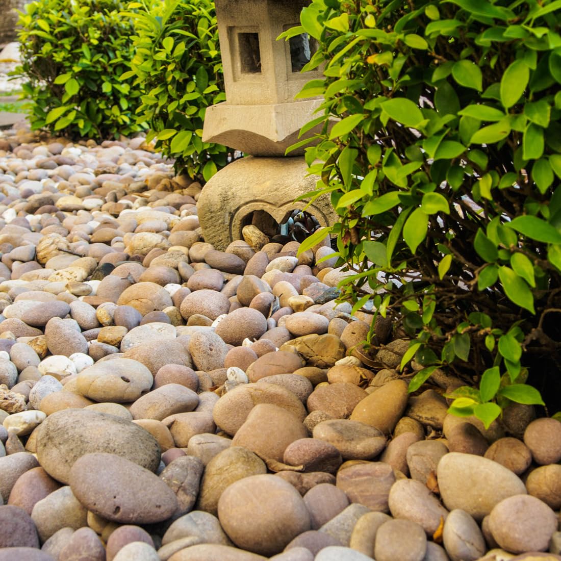 2lbs Natural River Rocks, 1/4" Aquarium Gravel Succulent Cactus Pea Gravel for Plants, Fish Tank, Decorative Pebbles for Gardening, Flower Pots, Vase Fillers, Indoor Water Fountains, Landscaping - Buy The Sea Aquatics