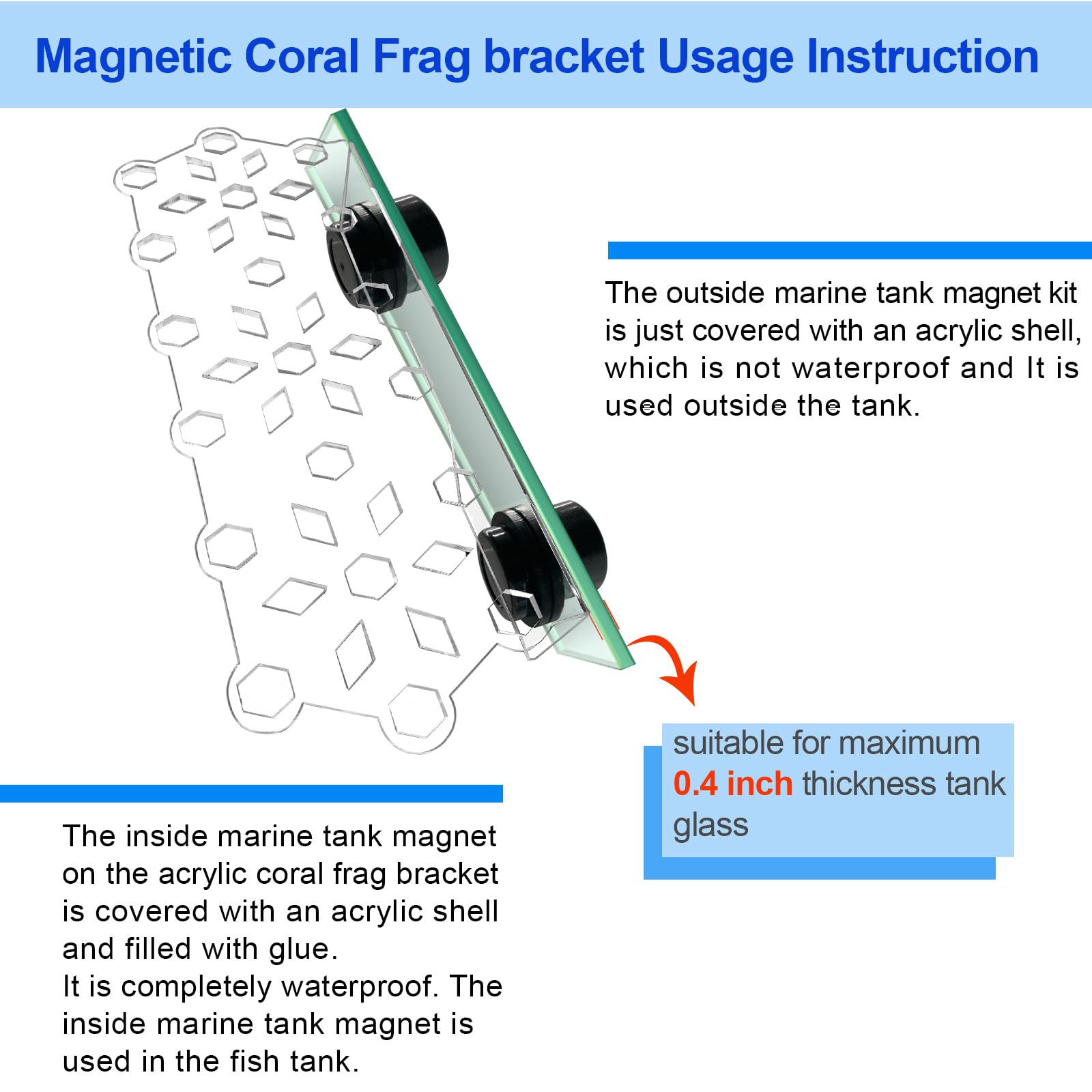 Aquarium Choice Coral Plug Holder Coral frag Rack Magnetic Holder Reef Magnets Holder for frag Rack (Coral Holder with 19 frag Plug) - Buy The Sea Aquatics
