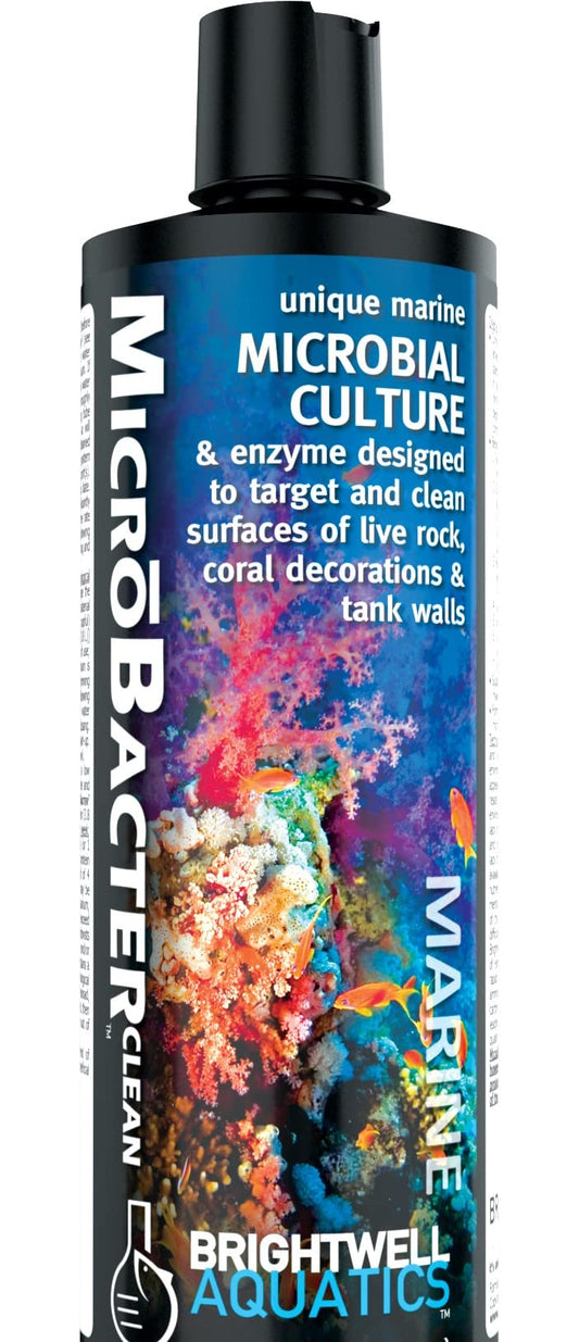 Brightwell Aquatics MicroBacter Clean - Microbial Culture & Enzyme Blend Fish Tank Cleaner - Cleans Live Rock Surfaces for Saltwater Fish Habitats - Aquarium Water Treatments, 16.9 fl oz
