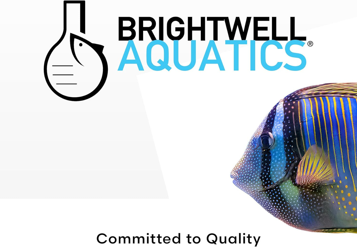 Brightwell Aquatics AminOmega - Amino & Omega - 3/6 HUFA Supplement for All Marine Fish & Reef Aquariums 60-ml