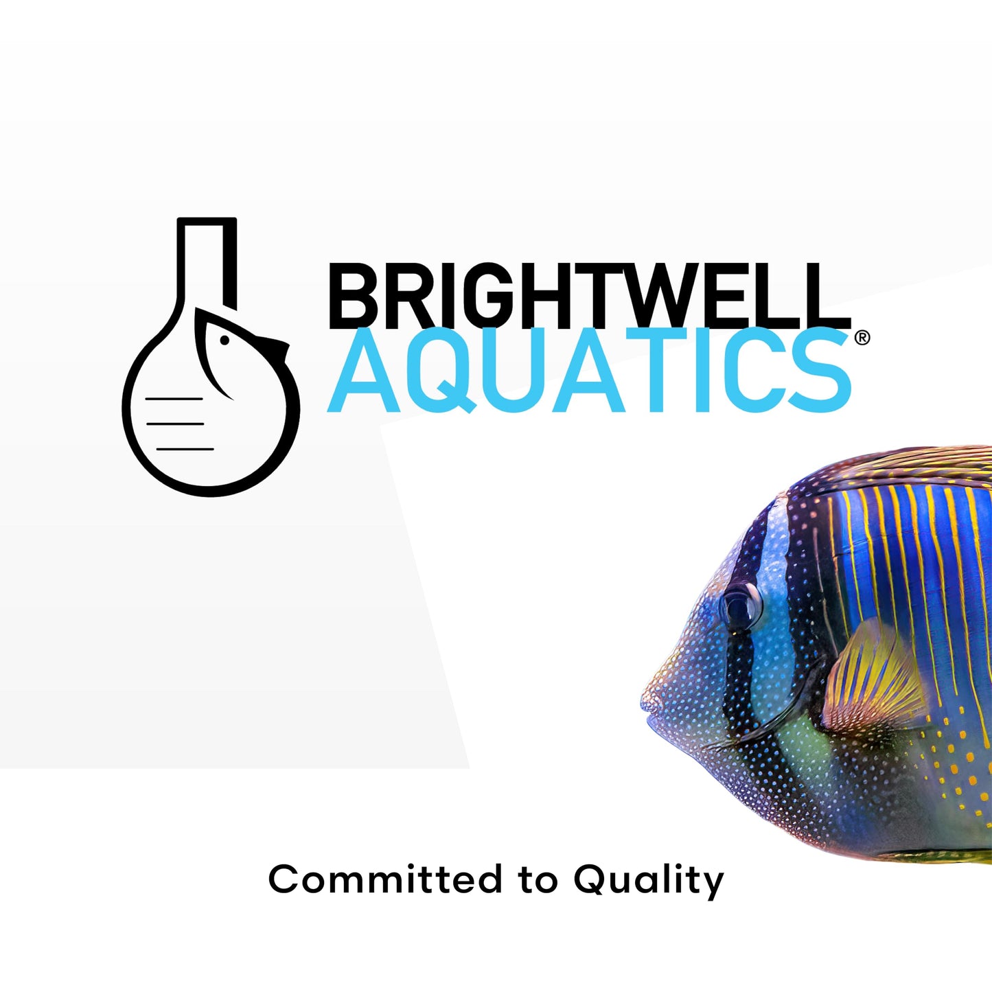 Brightwell Aquatics Alkalin8.3-P Powdered Alkalinity Buffer for Reef Aquariums – Regulates pH to 8.3, Promotes Aragonite Growth, Free of Phosphate & Additives, 1000g