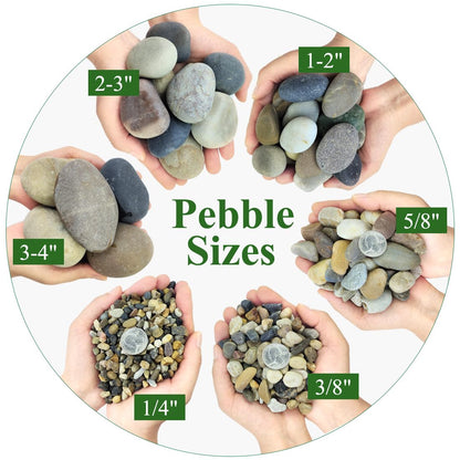 2lbs Natural River Rocks, 1/4" Aquarium Gravel Succulent Cactus Pea Gravel for Plants, Fish Tank, Decorative Pebbles for Gardening, Flower Pots, Vase Fillers, Indoor Water Fountains, Landscaping - Buy The Sea Aquatics