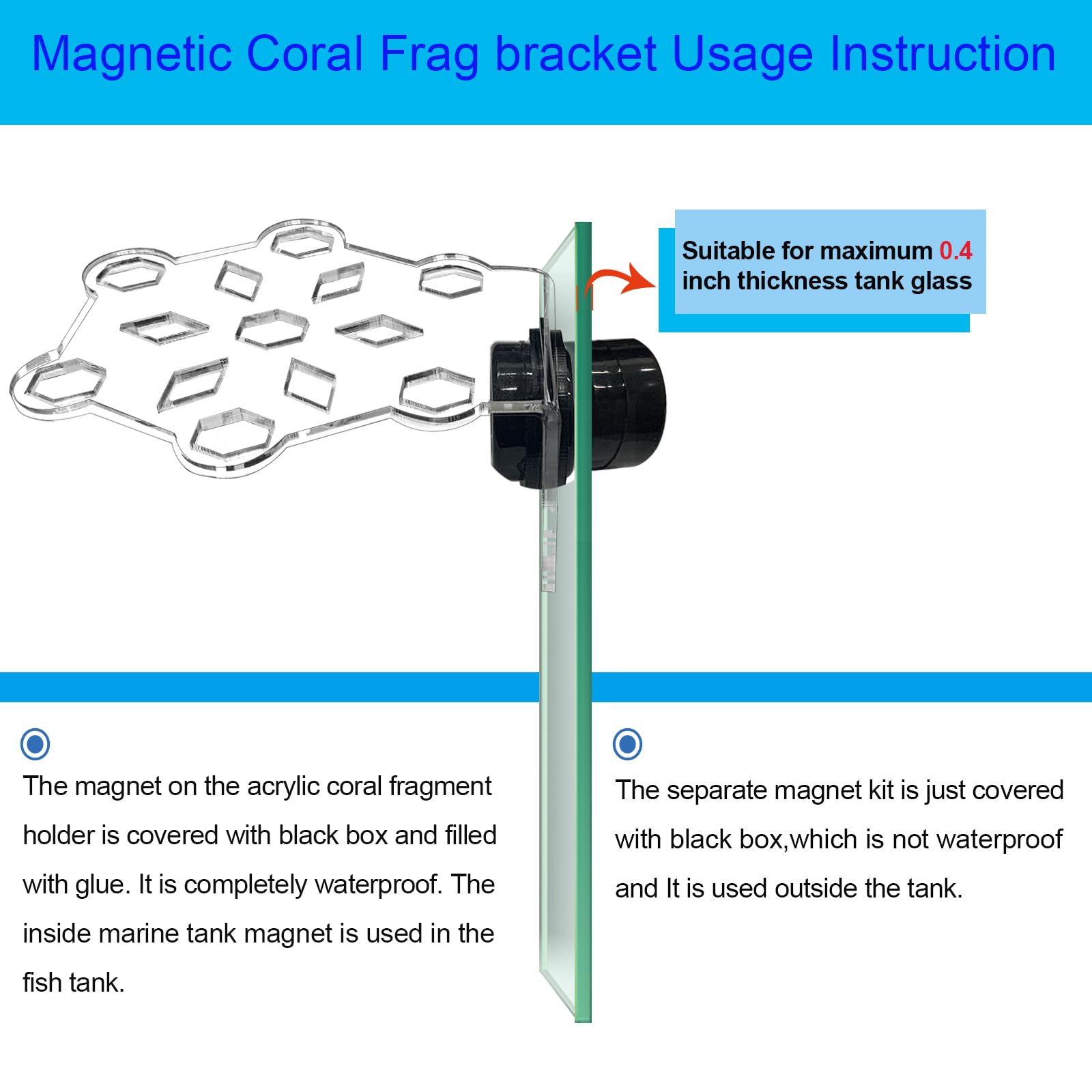 Aquarium Choice Coral Plug Holder Coral frag Rack Magnetic Holder Reef Magnets Holder for frag Rack (Coral Holder with 19 frag Plug) - Buy The Sea Aquatics