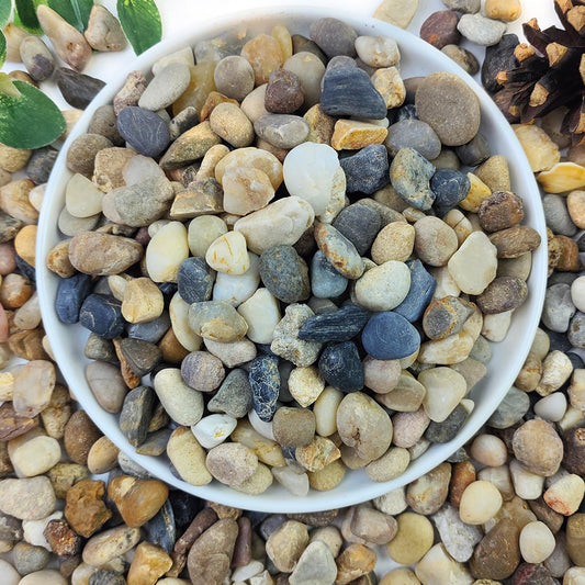 2lbs Natural River Rocks, 1/4" Aquarium Gravel Succulent Cactus Pea Gravel for Plants, Fish Tank, Decorative Pebbles for Gardening, Flower Pots, Vase Fillers, Indoor Water Fountains, Landscaping