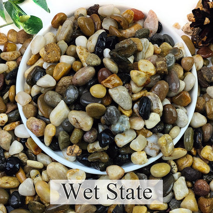 2lbs Natural River Rocks, 1/4" Aquarium Gravel Succulent Cactus Pea Gravel for Plants, Fish Tank, Decorative Pebbles for Gardening, Flower Pots, Vase Fillers, Indoor Water Fountains, Landscaping