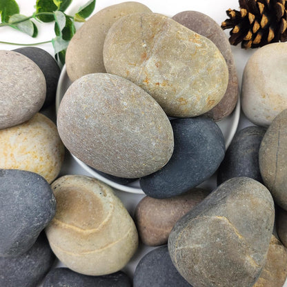 2lbs Natural River Rocks, 1/4" Aquarium Gravel Succulent Cactus Pea Gravel for Plants, Fish Tank, Decorative Pebbles for Gardening, Flower Pots, Vase Fillers, Indoor Water Fountains, Landscaping