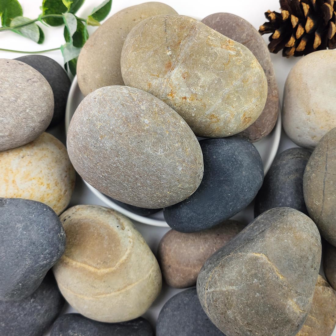 2lbs Natural River Rocks, 1/4" Aquarium Gravel Succulent Cactus Pea Gravel for Plants, Fish Tank, Decorative Pebbles for Gardening, Flower Pots, Vase Fillers, Indoor Water Fountains, Landscaping - Buy The Sea Aquatics