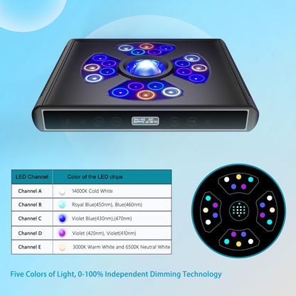 Aquarium Lights-100 watt 5 Channels Sunrise Sunset Moonlight Reef Lights for Coral SPS LPS Saltwater Tank