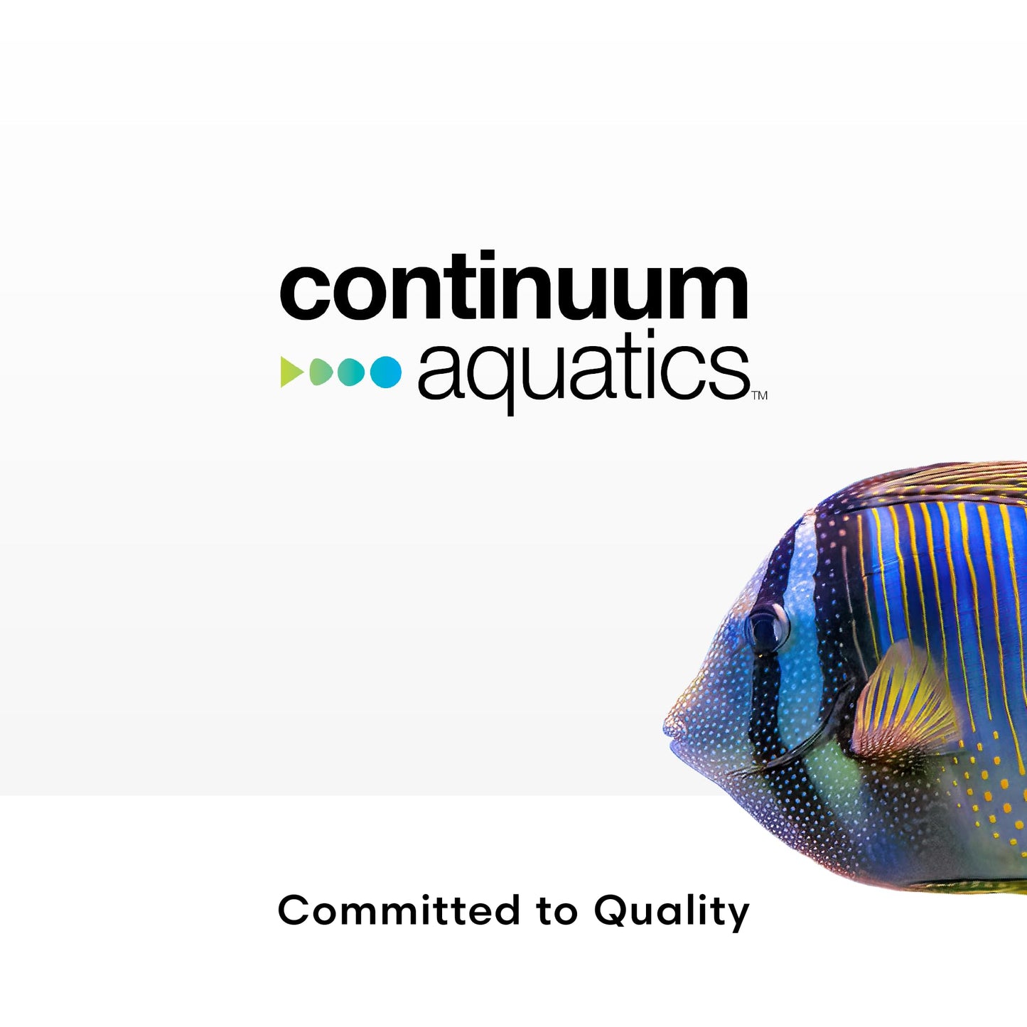 Continuum Aquatics Fraction Water Conditioner for Freshwater & Marine Aquariums – Removes Ammonia, Chlorine & Chloramines – Supports Aquarium Balance – Advanced Water Treatment, 2L