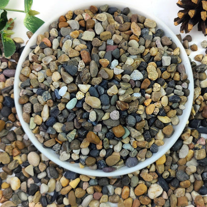 2lbs Natural River Rocks, 1/4" Aquarium Gravel Succulent Cactus Pea Gravel for Plants, Fish Tank, Decorative Pebbles for Gardening, Flower Pots, Vase Fillers, Indoor Water Fountains, Landscaping - Buy The Sea Aquatics