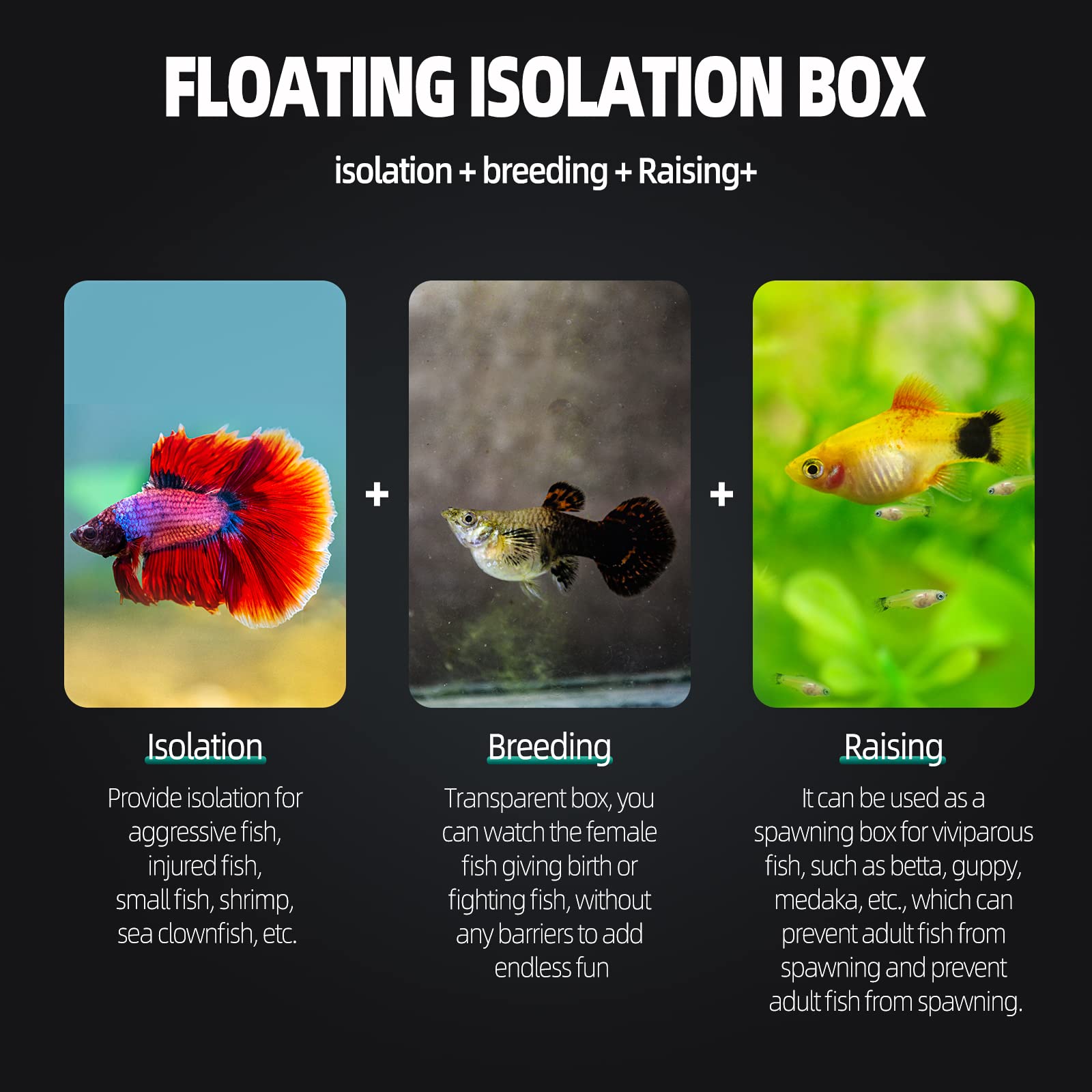 Boxtech Aquarium Fish Tank Hatchery Incubator Breeding Box, Acrylic White Breeder Isolation Divider Hatching Boxes Accessory Small Baby Fishes Shrimp Clownfish Guppy - Buy The Sea Aquatics