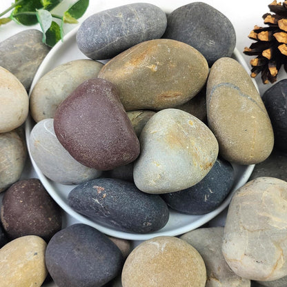 2lbs Natural River Rocks, 1/4" Aquarium Gravel Succulent Cactus Pea Gravel for Plants, Fish Tank, Decorative Pebbles for Gardening, Flower Pots, Vase Fillers, Indoor Water Fountains, Landscaping