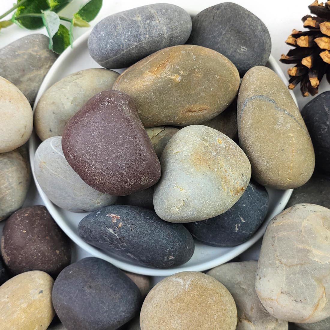 2lbs Natural River Rocks, 1/4" Aquarium Gravel Succulent Cactus Pea Gravel for Plants, Fish Tank, Decorative Pebbles for Gardening, Flower Pots, Vase Fillers, Indoor Water Fountains, Landscaping - Buy The Sea Aquatics