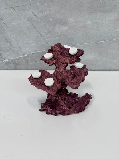 Coral Plug Holder, Natural Rock Frag Coral Growth (Natural White, Medium) - Buy The Sea Aquatics