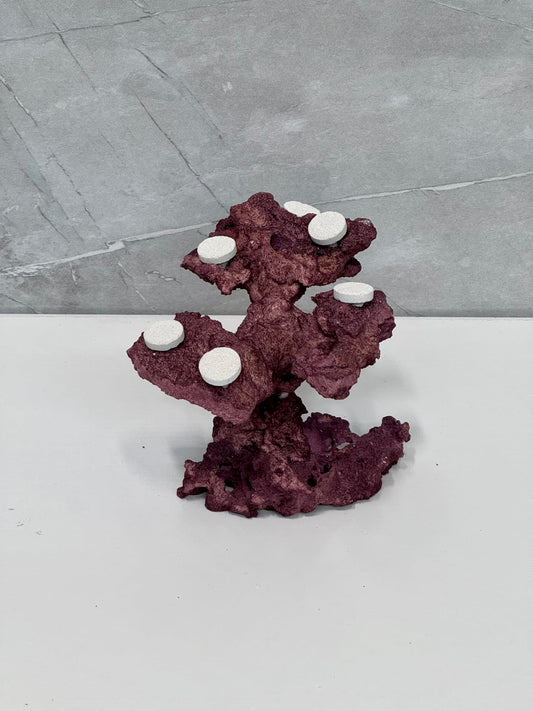 Coral Plug Holder, Natural Rock Frag Coral Growth (Natural White, Medium) - Buy The Sea Aquatics