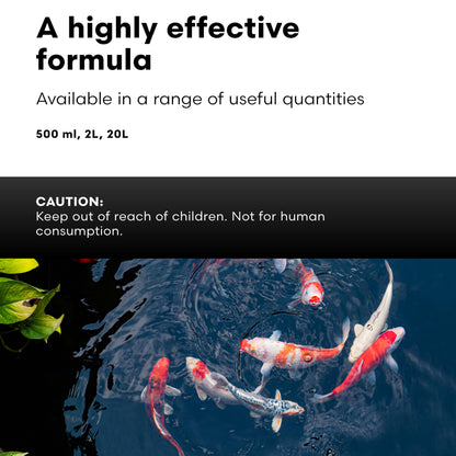 Brightwell Aquatics FlorinErase – Pond Water Conditioner for Chlorine, Chloramines, Ammonia & Nitrite Removal – Safe for Fish, Plants & Invertebrates, 2L