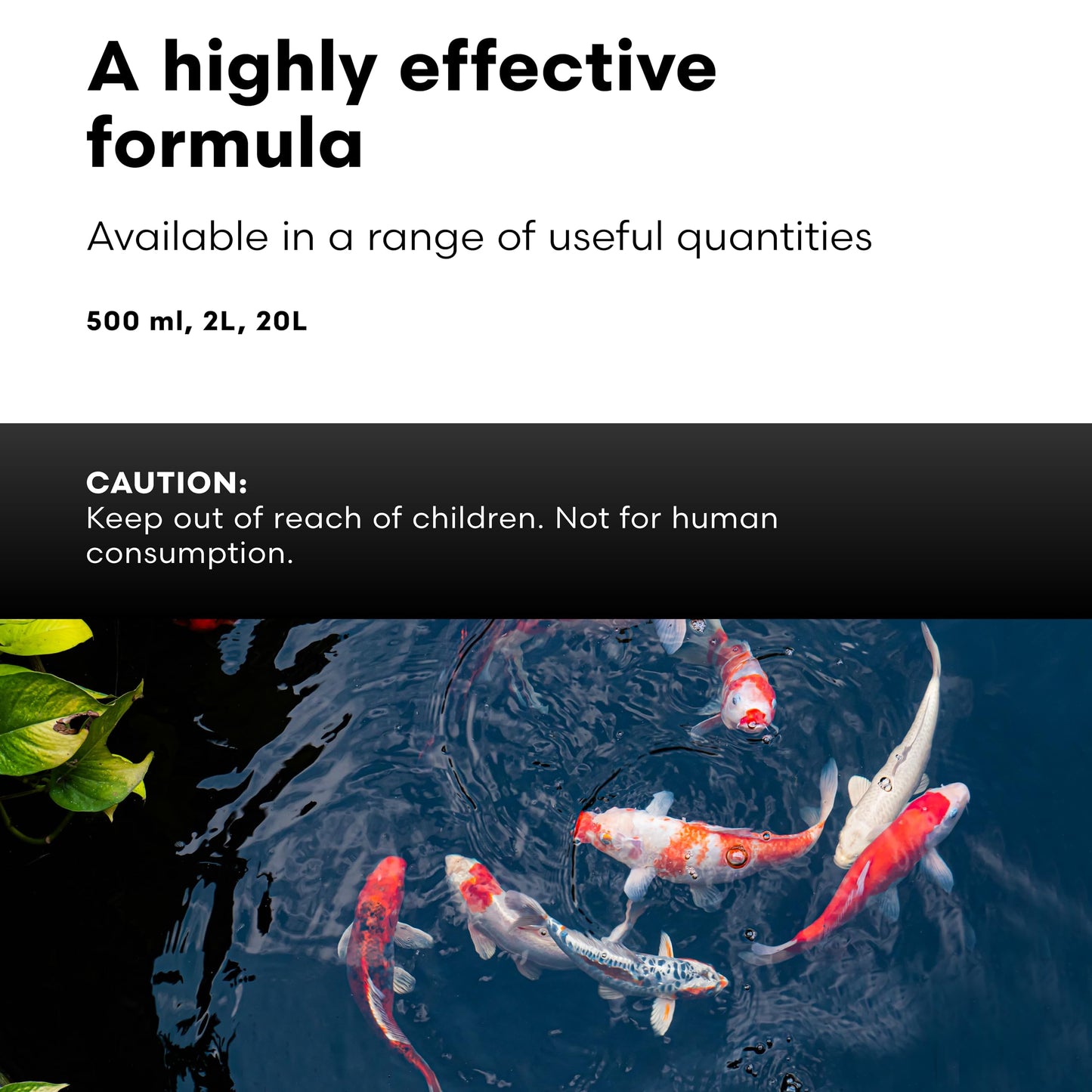 Brightwell Aquatics FlorinErase – Pond Water Conditioner for Chlorine, Chloramines, Ammonia & Nitrite Removal – Safe for Fish, Plants & Invertebrates, 2L