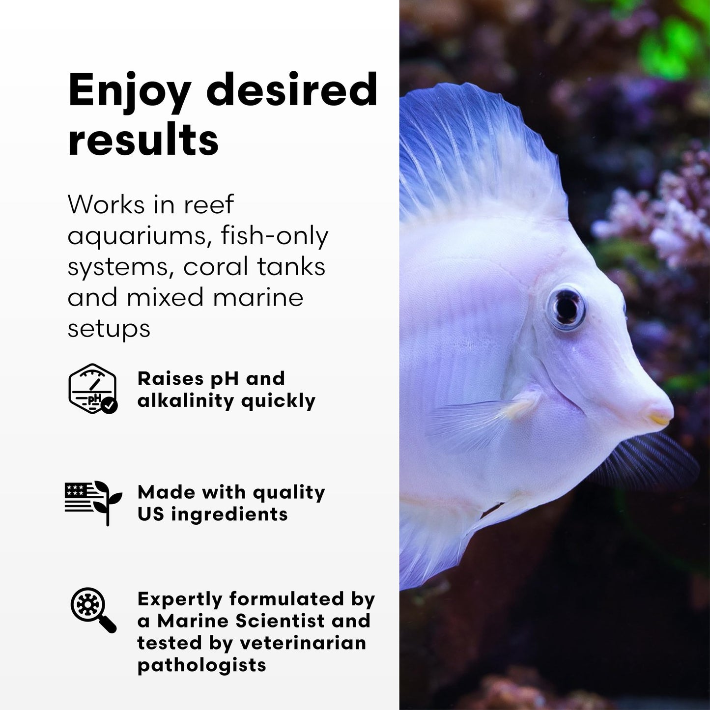 Brightwell Aquatics pH+ Alkalinity and pH Booster for Marine & Reef Aquariums Increases pH and KH Stability for Coral Growth and Enhances Carbonate Levels, 2L