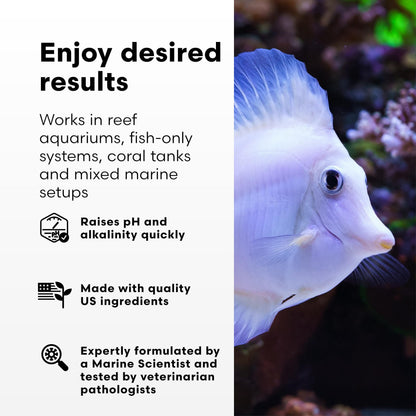 Brightwell Aquatics pH+ Alkalinity and pH Booster for Marine & Reef Aquariums Increases pH and KH Stability for Coral Growth and Enhances Carbonate Levels, 2L