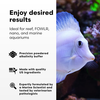 Brightwell Aquatics Alkalin8.3-P Powdered Alkalinity Buffer for Reef Aquariums – Regulates pH to 8.3, Promotes Aragonite Growth, Free of Phosphate & Additives, 1000g